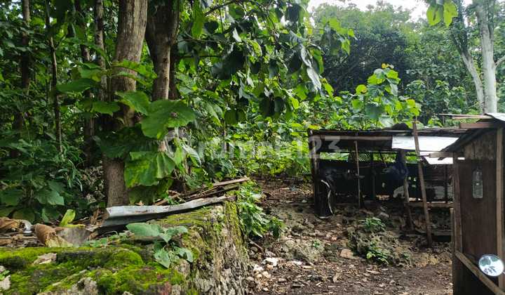 For Sale Freehold Land 9 Ares - Jimbaran, Bali