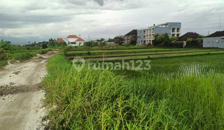 Freehold Land 7.15 Are with Ocean View Near Kelating Beach, Tabanan Freehold Land 7.15 Are with Ocean View Near Kelating Beach, Tabanan