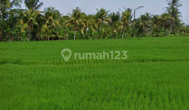 16.35 Are Land For Sale Freehold In Buwit, Tabanan - Kv001