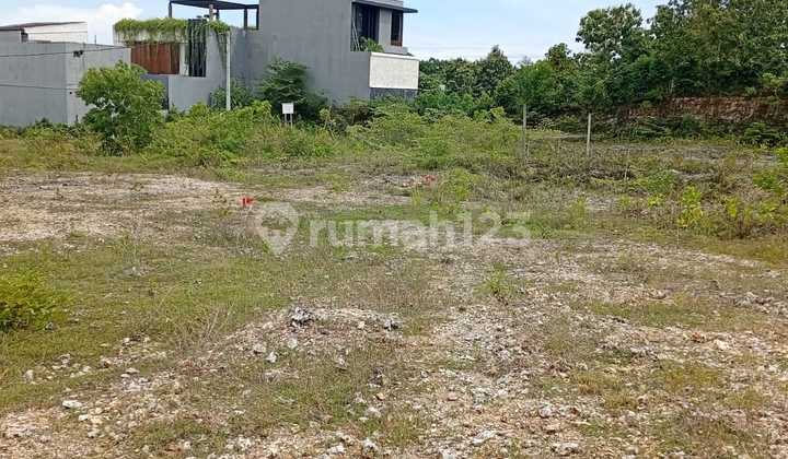 3.9 Are Land For Sale Freehold-In Ungasan - Ag001