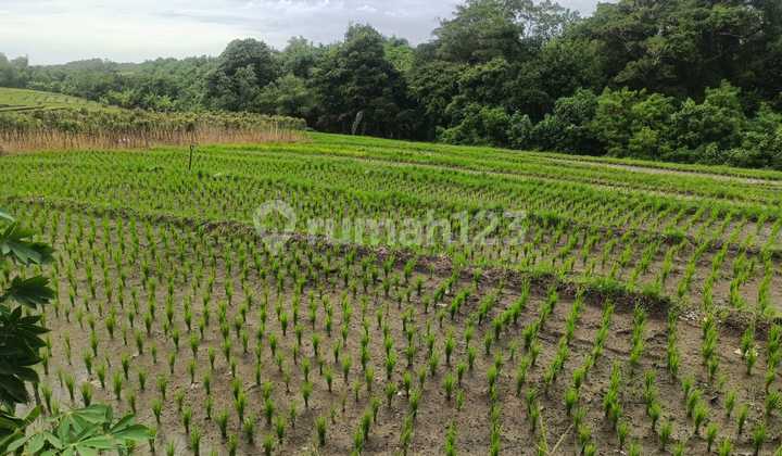 Freehold Land 45 Are for Sale Near Kelating Beach, Tabanan - Bali Freehold Land 45 Are for Sale Near Kelating Beach, Tabanan - Bali