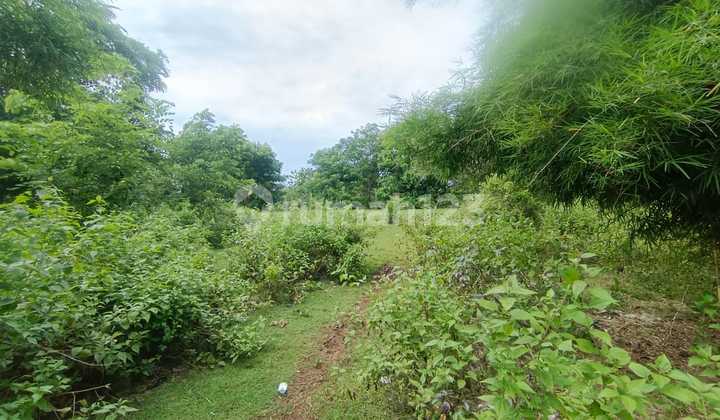 For Sale Freehold Land 20 Are - Jimbaran, Bali