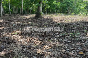 Dijual Tanah Strategis View Sawah di Desa Tegal Mengkeb - Tabanan