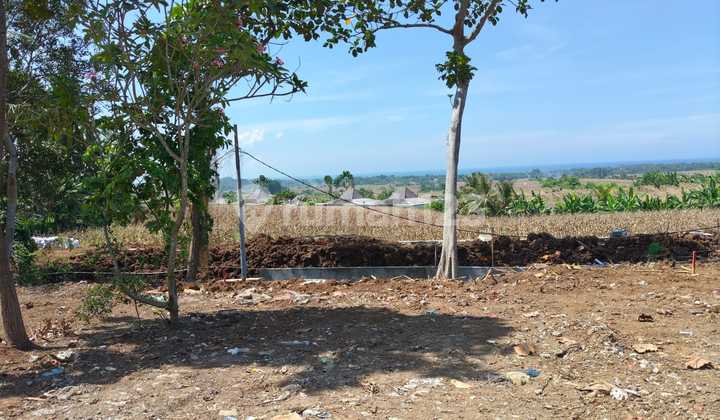 Dijual Tanah View Langka Sawah dan Lautdi Desa Tangguntiti - Tabanan, Bali Dijual Tanah View Langka Sawah dan Lautdi Desa Tangguntiti - Tabanan, Bali