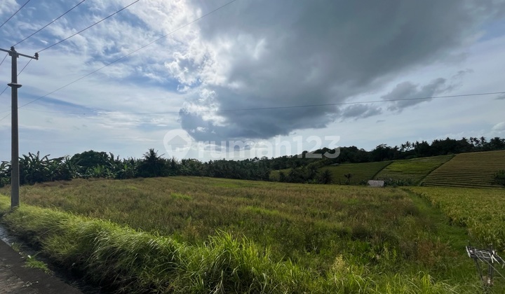 For Sale Rice Field Pink Zone Beach View - 300 Meters to the Sea Antap Land For Sale Rice Field Pink Zone Beach View - 300 Meters to the Sea Antap Land