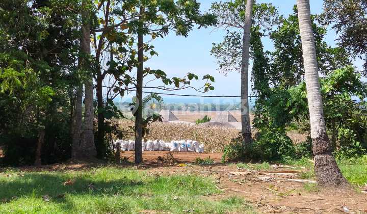 Dijual Tanah Strategis Dikelilingi Villa di Desa Tanguntiti - Tabanan, Bali Dijual Tanah Strategis Dikelilingi Villa di Desa Tanguntiti - Tabanan, Bali