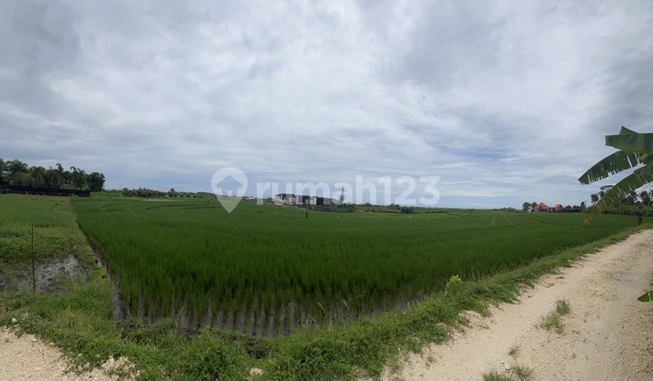 Dijual Tanah Zona Pariwisata - View Pantai Pasut Tabanan