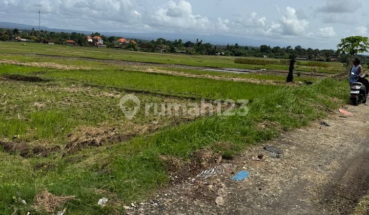 Dijual Tanah Strategis Area Pantai Pasut Dijual Tanah Strategis Area Pantai Pasut