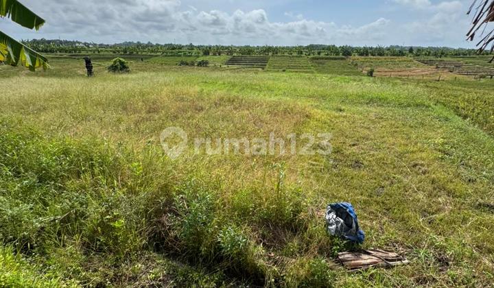 Dijual Tanah Strategis Pantai Pasut Tibubiu Tabanan