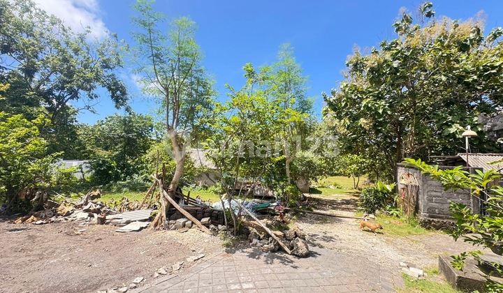 Bingin Land For Rent Prime Location Good For Investment High Roi Bingin Land For Rent Prime Location Good For Investment High Roi