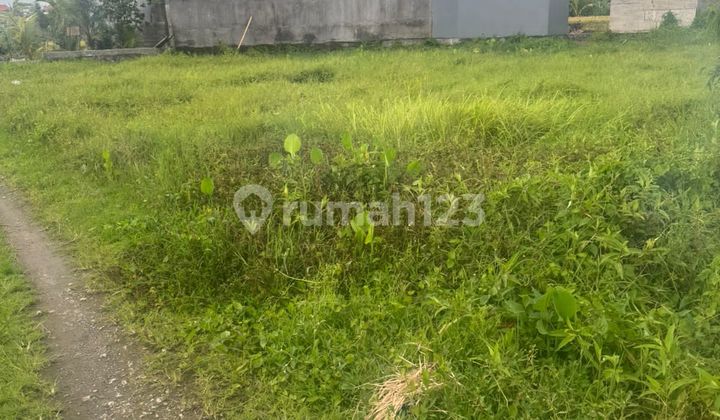 For Sale Land 8.79 Ares-Mas, Ubud, Near Ari Canti Hospital