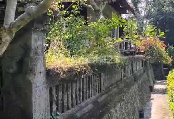 Cheap Villa for Sale in Ubud Bali Full Rice Field View