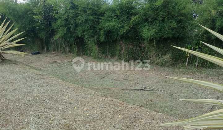 Land in a Strategic Location Suitable for a Restaurant in Gunung Geulis, Bogor