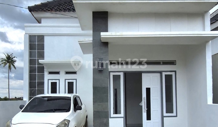 House Without D P 3 Bedrooms 2 Bathrooms 2