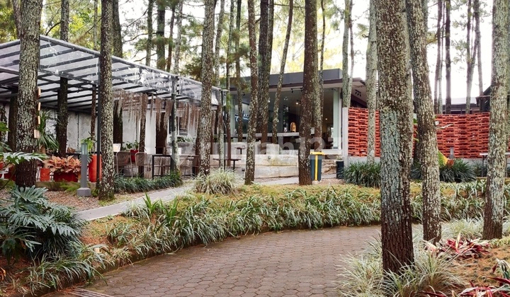 Hotel Asri Sayap Dago North Bandung, Definitely Profitablecomplete with Swimming Pool and Cafe 2