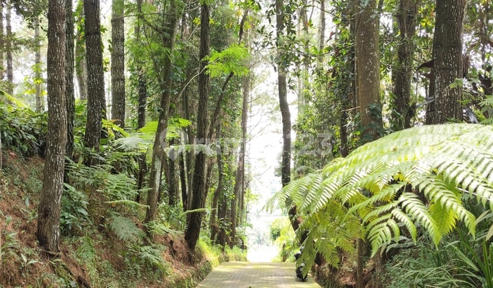 Villa Murah di Maribaya Lembang dengan Double Views