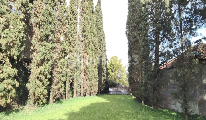 Jual Kavling Tanah Area Premium Setiabudi Bandung Jual Kavling Tanah Area Premium Setiabudi Bandung