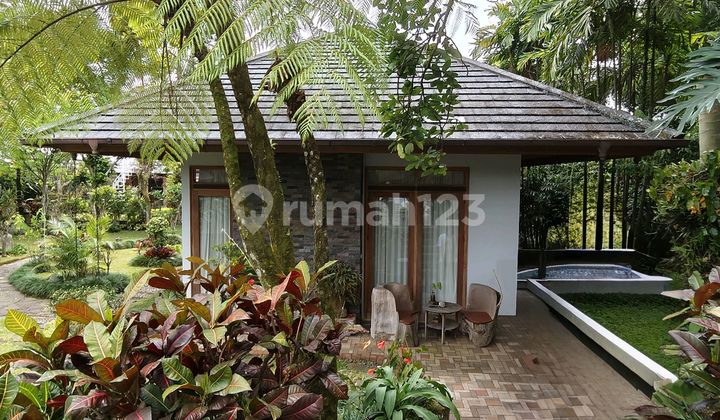 Rumah Klasik Seperti Villa dengan Kolam Renang Rumah Klasik Seperti Villa dengan Kolam Renang