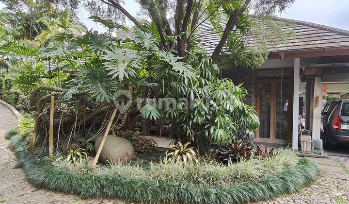 Classic House Like a Villa with Swimming Pool 2