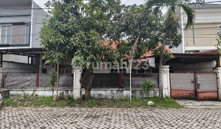 7Jt-An/Mtr‼️Rumah Lama Medokan Asri Row Jalan Lebar, Hadap : Utara 1