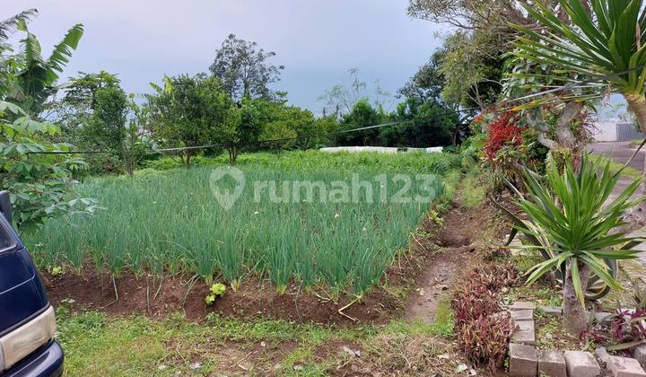 Tanah Batu Dekat Wisata Baloga - Batu, Malang