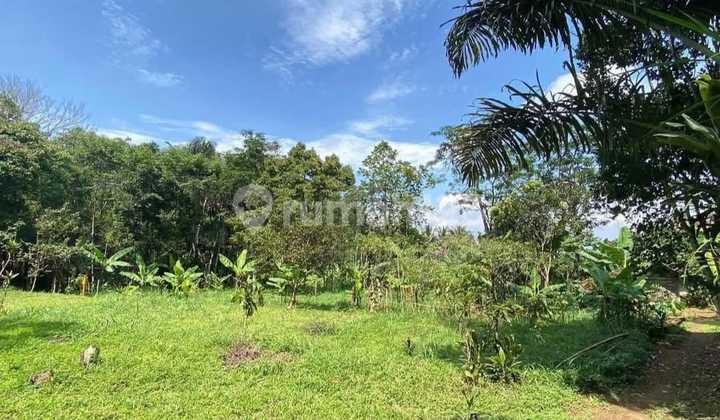 Land for Sale Land for Sale