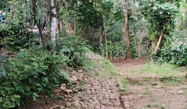 Saung Leuhang Dago - Traditional Cafe in Dago, Bandung! ️*
