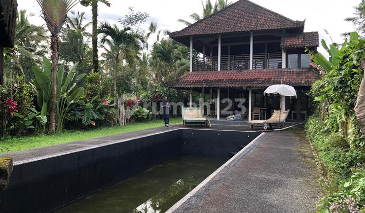 Need Quick Money Villa in Alfamart, Tampak Siring, Jl. Raya Tampaksiring, Tampaksiring, Tampaksiring, Gianyar, Bali, Indonesia, 80552, Gianyar