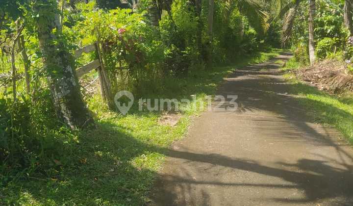 Cheap Land Tabanan Bali Buc