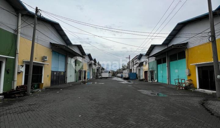 Disewakan Gudang di Sedati Dekat Juanda Airport Disewakan Gudang di Sedati Dekat Juanda Airport