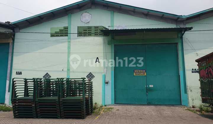 For Rent Warehouse Buduran Sidoarjo East Java in Pergudangan Sinar Buduran II, Jl. Lingkar Timur, Prasung, Buduran, Sidoarjo, East Java, Indonesia, 61252, Buduran For Rent Warehouse Buduran Sidoarjo East Java in Pergudangan Sinar Buduran II, Jl. Lingkar Timur, Prasung, Buduran, Sidoarjo, East Java, Indonesia, 61252, Buduran