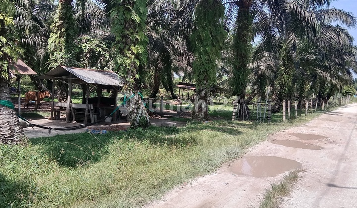 Tanah Komersial 10000M2 di Lokasi Strategis