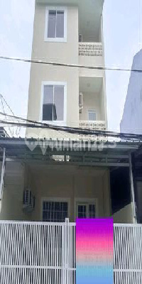 Jual Rumah Minimalis Kelapa Hybrida Jual Rumah Minimalis Kelapa Hybrida