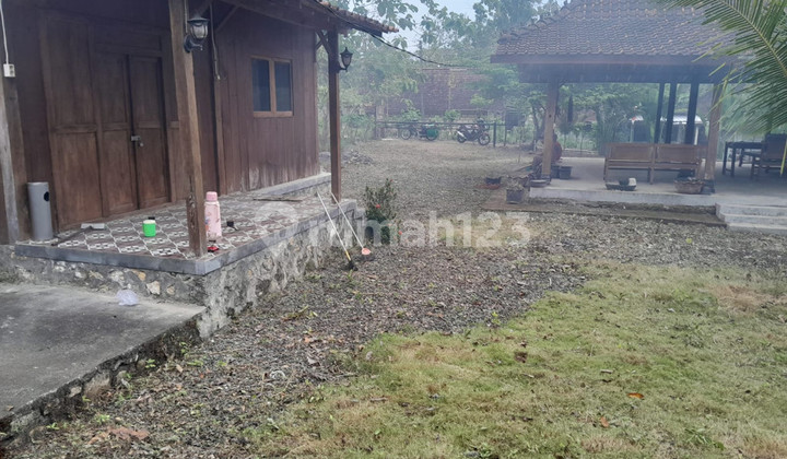 Tanah & Villa Luas Dekat Pasar Gading di Platen, Gunung Kidul Tanah & Villa Luas Dekat Pasar Gading di Platen, Gunung Kidul