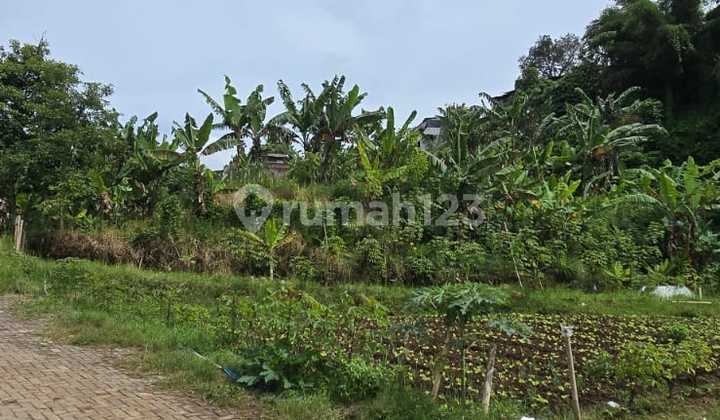 For Sale Dense Land in Bajuri Valley, Bandung For Sale Dense Land in Bajuri Valley, Bandung