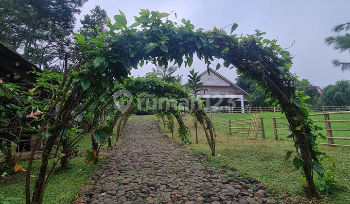 *For Sale* Land and Building Near Soreang Toll Road, Bandung, Sold Below Market Land Price *For Sale* Land and Building Near Soreang Toll Road, Bandung, Sold Below Market Land Price
