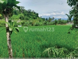 Land for Sale in Garut Area Price Below Bank Appraisal