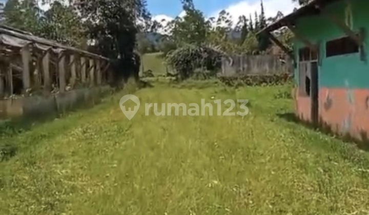 For Rent 2 Hectares of Land in Pangalengan, Altitude Approximately 1400 Meters Above Sea Level
