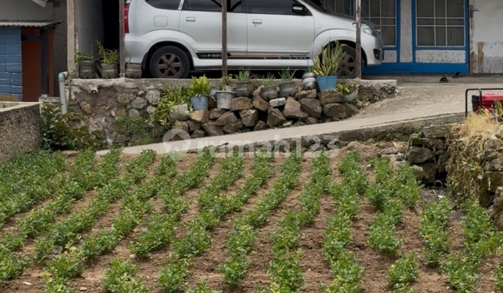 Land for Sale in Ciwidey Area Land for Sale in Ciwidey Area