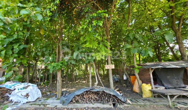 Dekat Kota Tanah Kavling Lokasi Pamekasan Madura