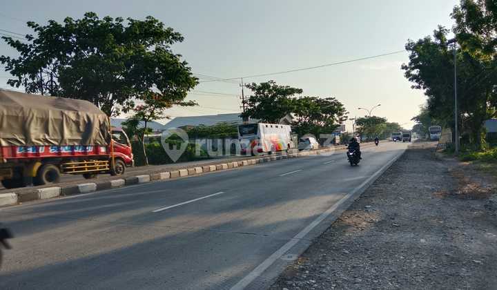 Lamongan Zero Main Road Strategic Area Land