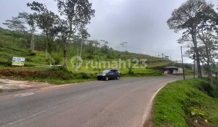 Kavling Sumowono Bandungan Dekat Wisata Alam 2