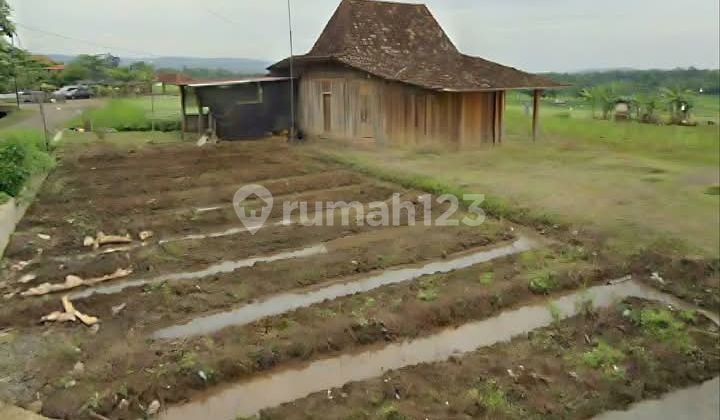 Plot and Joglo House in Podorejo Ngaliyan 2