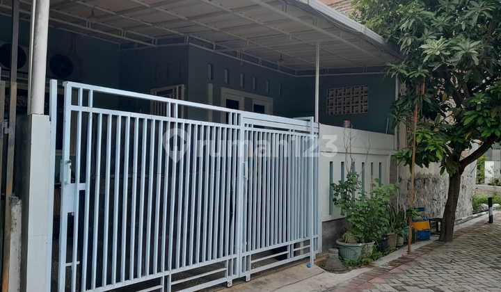 Rumah Minimalis Sudah Tinggi Dari Jalan 2