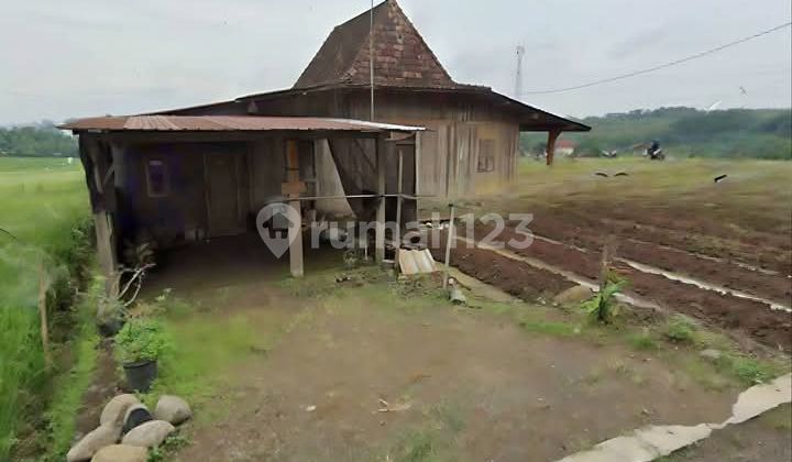 Plot and Joglo House in Podorejo Ngaliyan