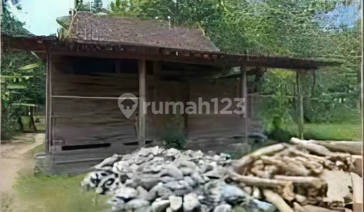 Untuk Inventor Kandang Ayam Pengandon Kendal