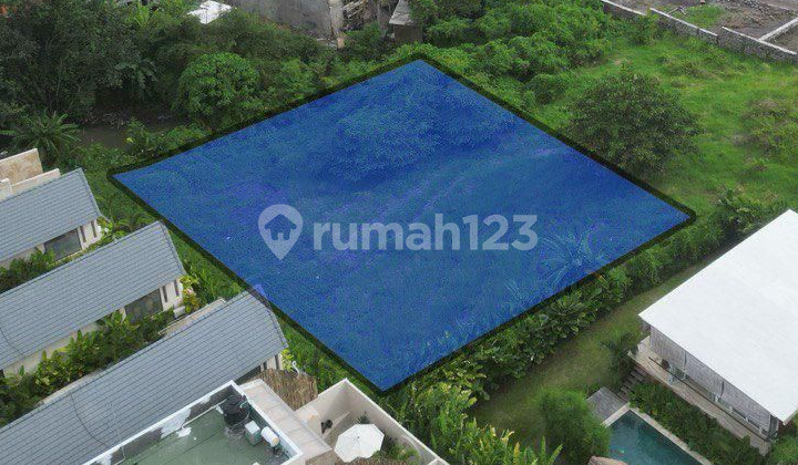 3 Land Plots In Canggu, Road Access 3M 3 Land Plots In Canggu, Road Access 3M