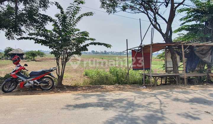 Dijual Cepat Tanah Sawah Strategis Dipinggir Jalan Babelan Bekasi Dijual Cepat Tanah Sawah Strategis Dipinggir Jalan Babelan Bekasi