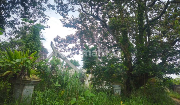 Tanah dan Bangunan Rumah Mewah dengan Harga Super Murah di Bogor