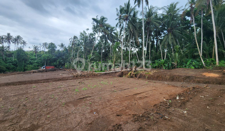 Own a Premium River Side Villa Plot with River and Rice Field Views in Saba, Gianyar Near Sanur Immediately